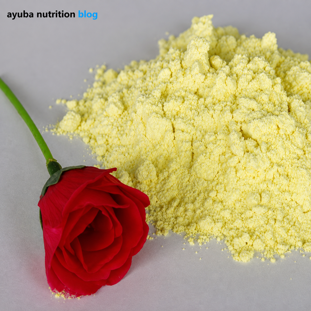 7,8-DHF (7,8-Dihydroxyflavon) im Ayuba Nutrition Biohacking Guide