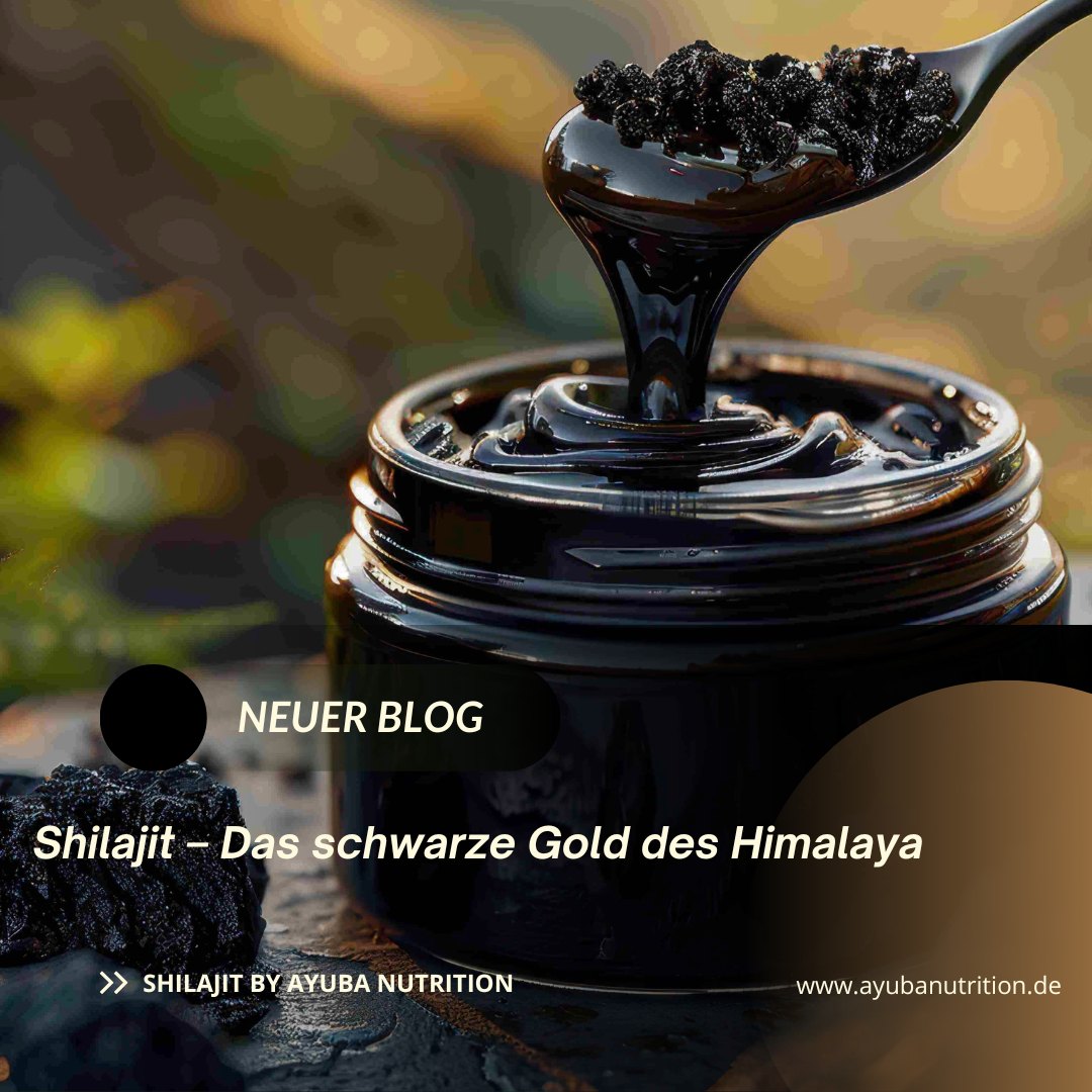Shilajit: Das schwarze Gold des Himalaya
