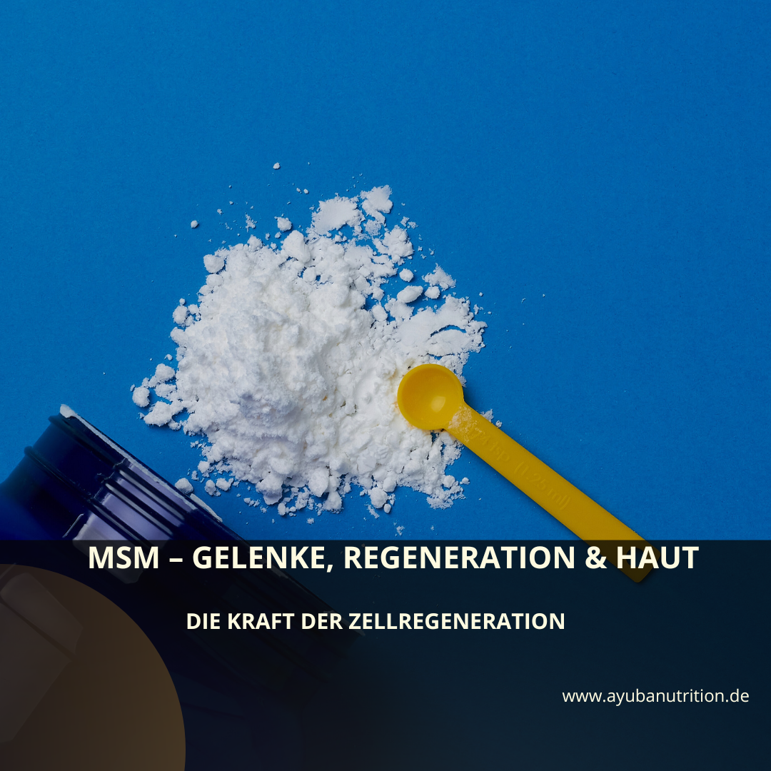 MSM – Wirkung, Vorteile und Studienlage zur Regeneration