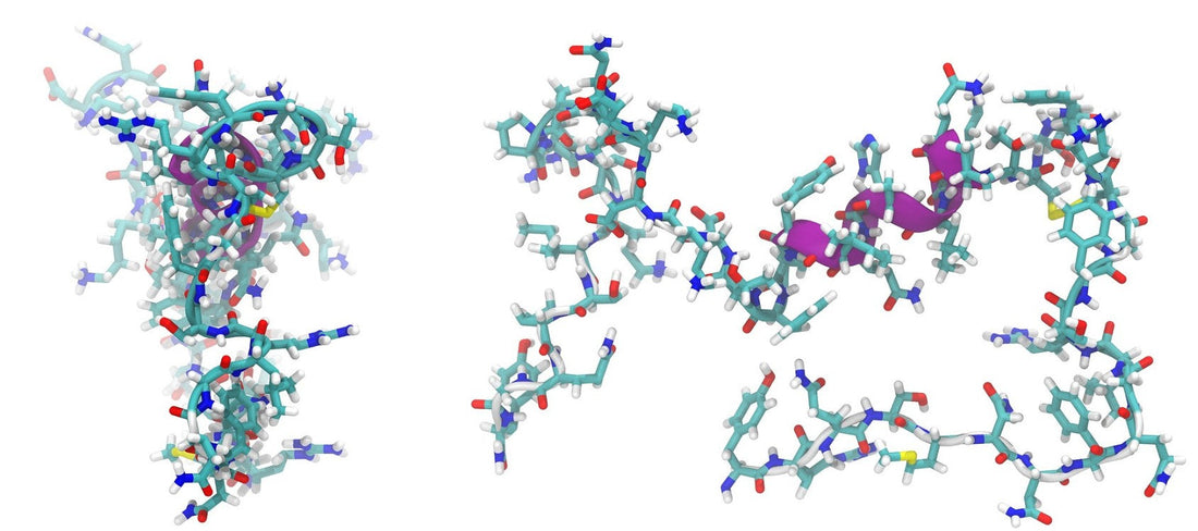 VRX-0075 und Bioglutide starten beide bei Retatrutids Rückgrat und biegen dann in entgegengesetzte Richtungen ab. Der eine sammelt Sättigungssignale, der andere schützt Muskelmasse. Nur einer von beiden war jemals in einem Menschen.