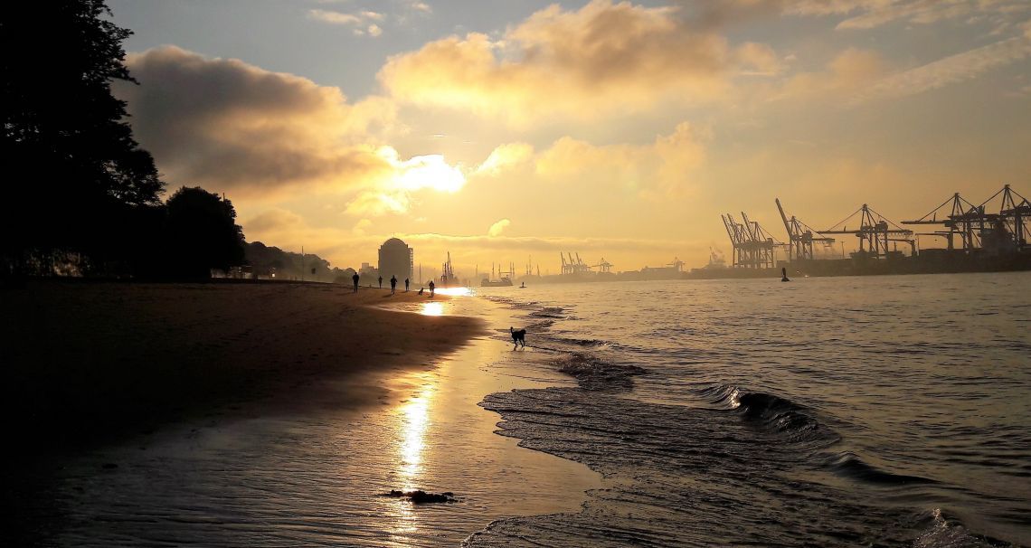 Von Oktober bis April produziert dein Körper in Mitteleuropa praktisch kein Vitamin D. Kein Training, keine Ernährung ändert das. Ein Tropfen täglich schon.