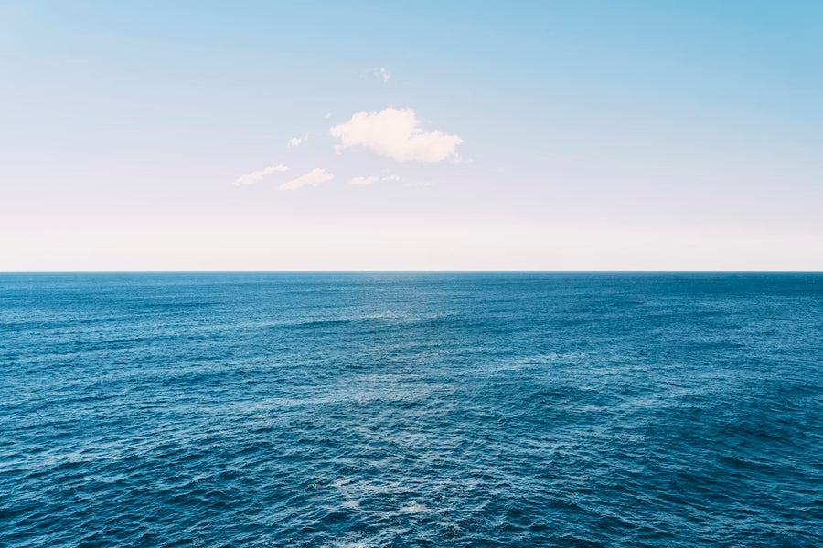 Omega 3 Triglycerides - 120 Softgels