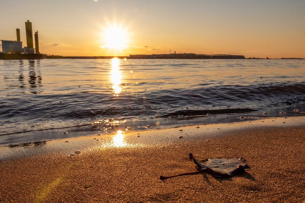 Von Oktober bis April fehlt deinem Körper der Grundbaustein für Immunfunktion, Knochengesundheit und Energiestoffwechsel - und du merkst es kaum. Vitamin-D-Mangel ist still. Dieser Tropfen nicht.