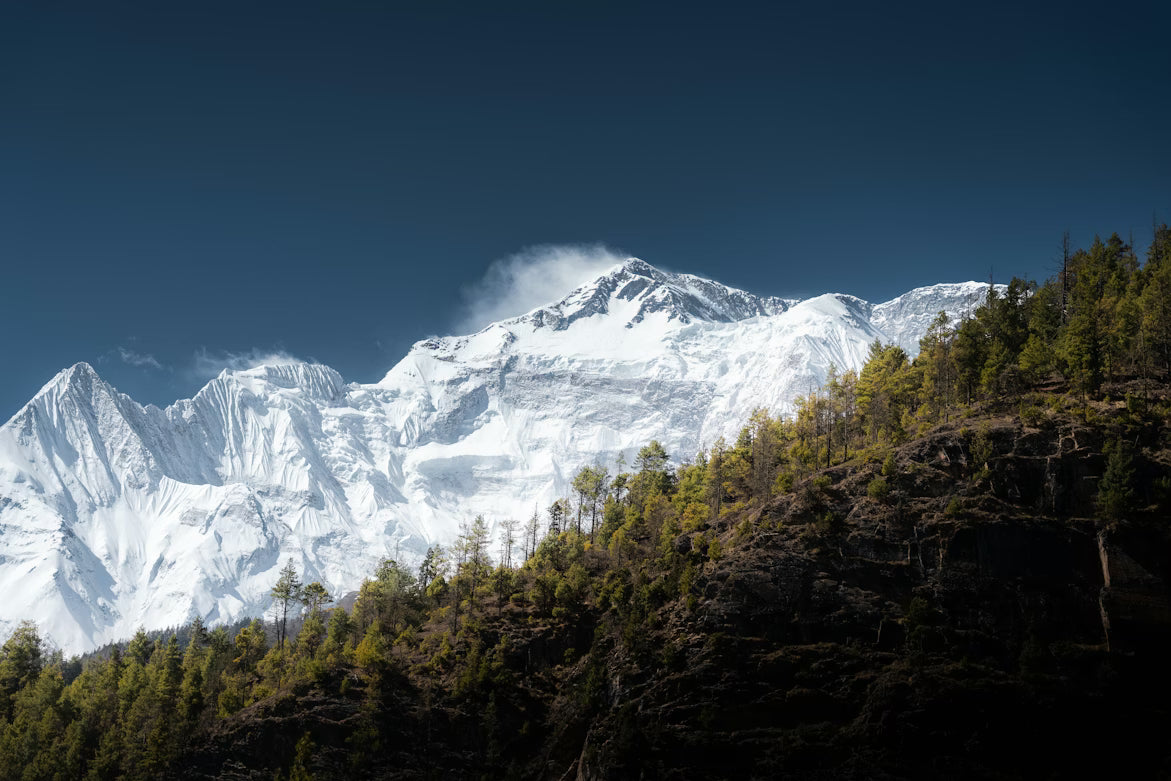 Du weißt, dass du mehr Energie haben könntest. Jeden Tag. Shilajit war jahrtausendealte Antwort auf genau dieses Gefühl – jetzt in der Form, die du wirklich aufnimmst.